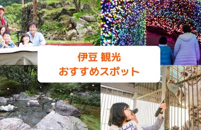 伊豆観光で温泉・グルメを満喫!外せないおすすめスポット11選