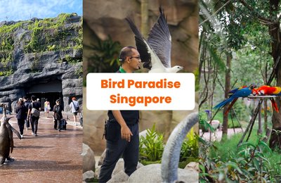 Bird Paradise Singapore: 18 Hal yang Perlu Kamu Tahu tentang Tempat Wisata Terbaru di Singapura ini!