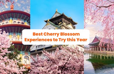 Pink Skies from Sunrise to Sunset: Best Cherry Blossom Experiences to Try this 2024!