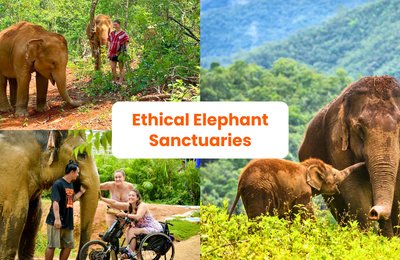 Ethical Elephant Sanctuaries In Thailand & Laos For A Meaningful Visit