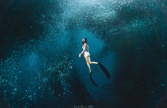 moalboal diving