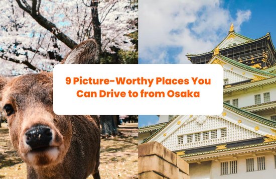deer and osaka castle