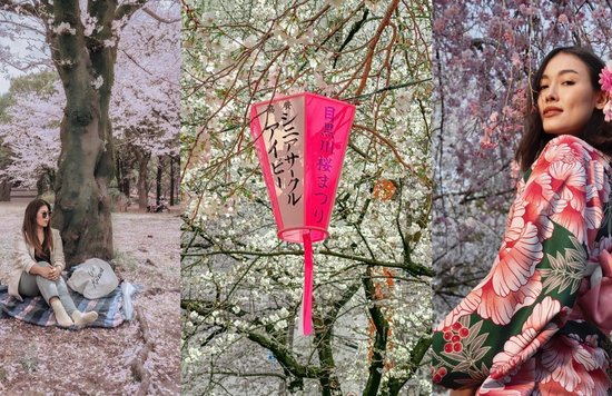 Image credits to @homeofdelight, @solli.fe, and @hellotessaon Instagram