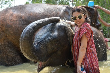 Experiencia en el parque Elephant Care en Phuket