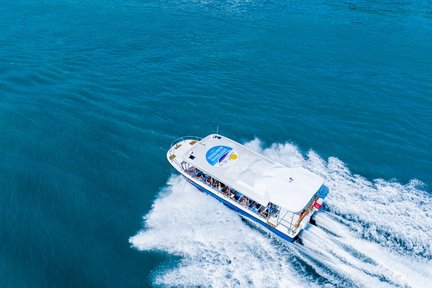 Albatross Speedboat Adventures