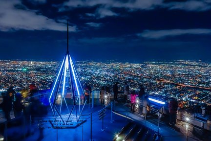 Sapporo Mt. Moiwa y Asahiyama Memorial Park Night View Trip
