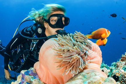 Beginner Scuba Diving Experience in Bali