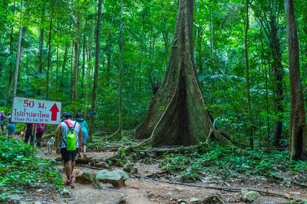 Krabi Highlights: Tiger Cave & Emerald Pool One-day Tour