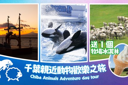 Chiba Mother Farm, Kamogawa Sea World, & Tokyo Bay Sunset Day Tour