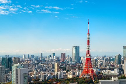 Tokyo Tower Ticket