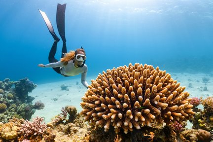 Koh Samet Exclusive 9 Island Snorkeling Trip