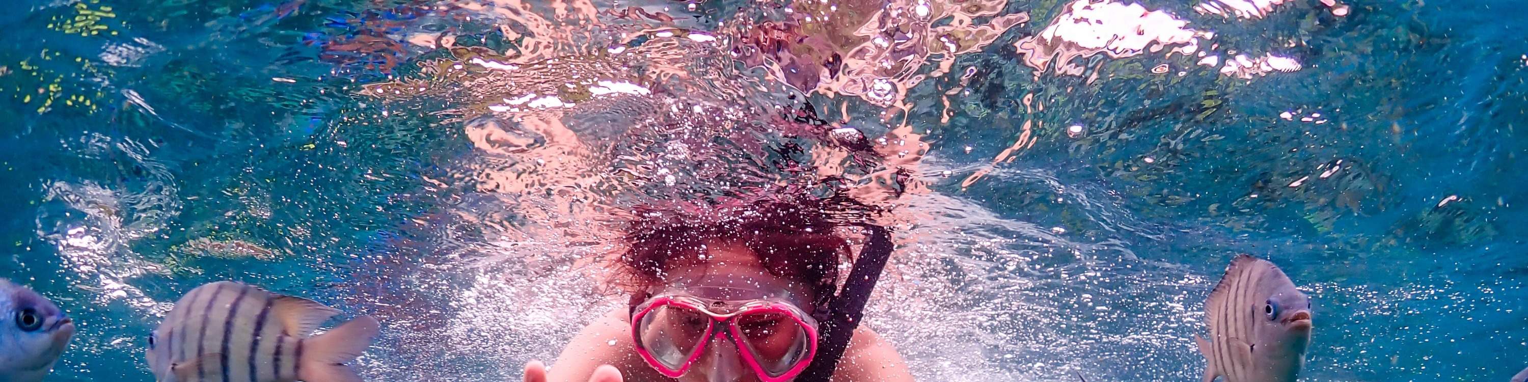 游泳並欣賞周圍的魚