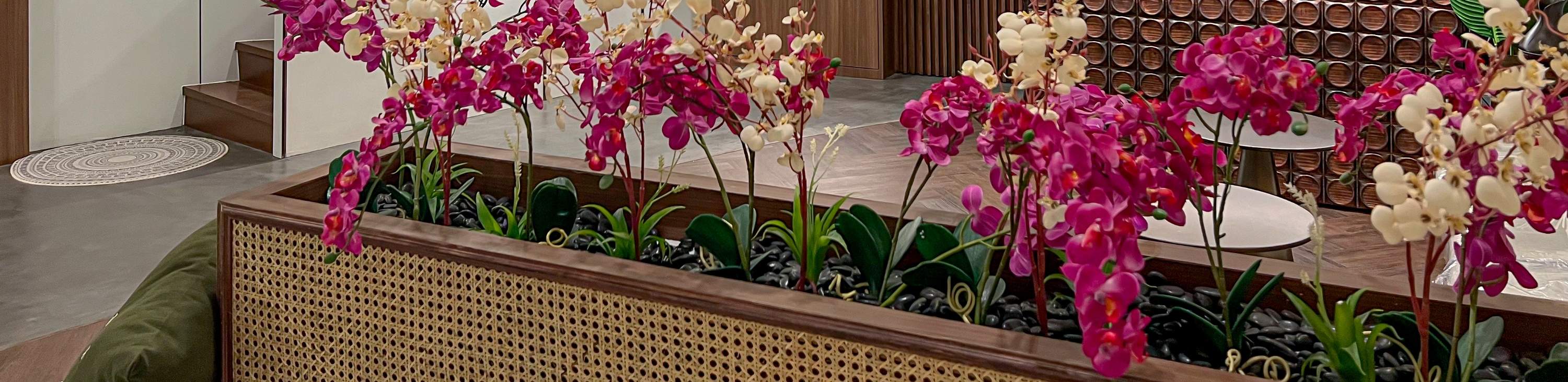 spa phrom phong