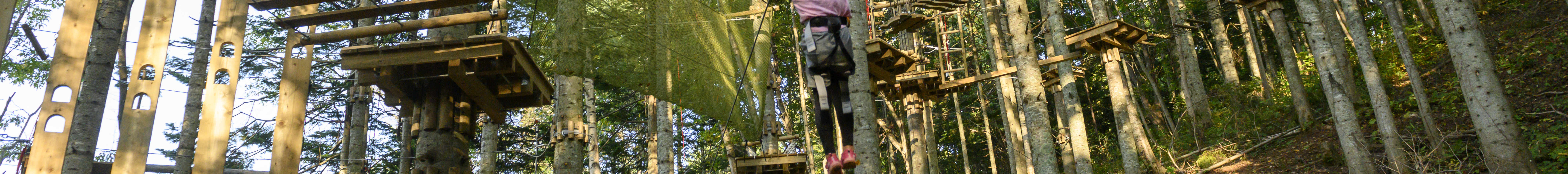 Niseko Ezo Fuji (Mt. Yotei) TreeTrekking & TreeWalk
