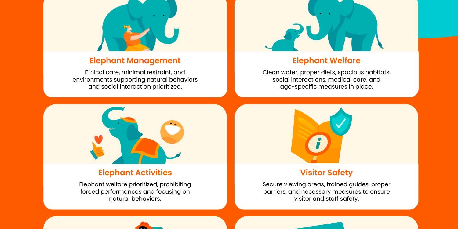 Krabi Elephant Shelter Experience