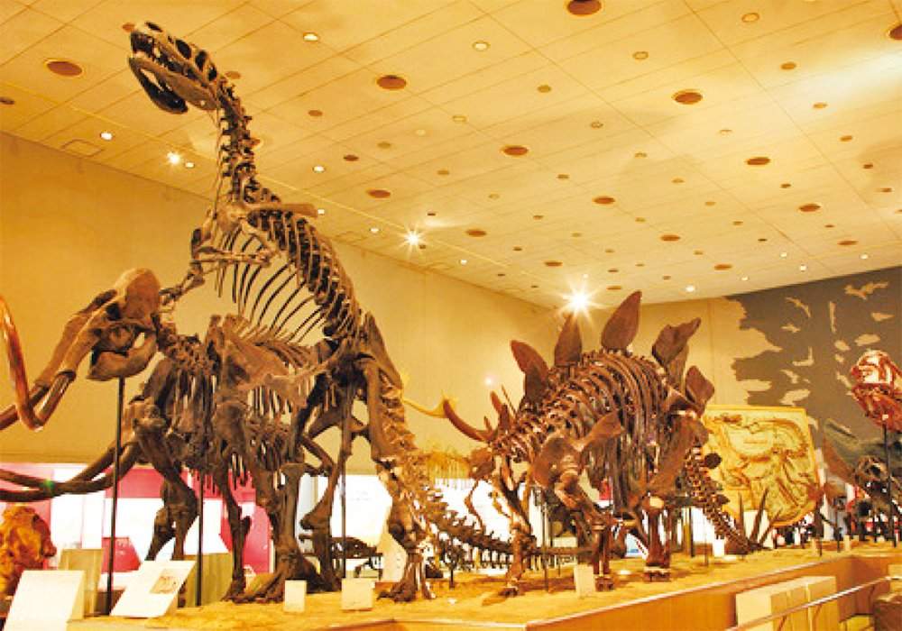 大阪展覽