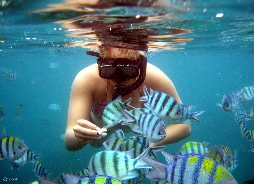 snorkeling