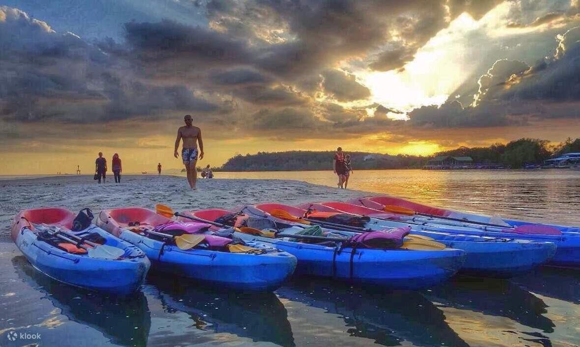 kayaks à terre