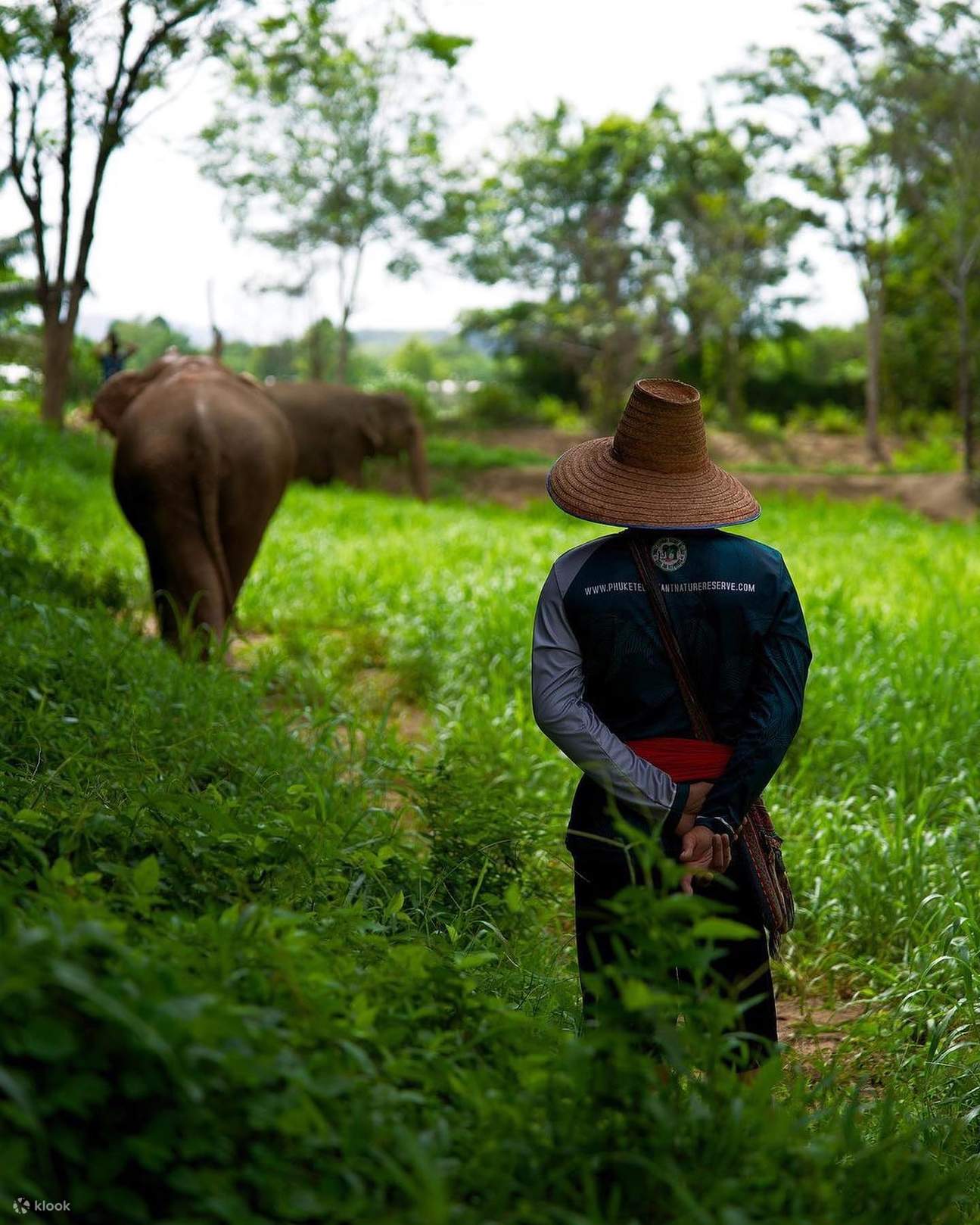 Phuket elephant experience