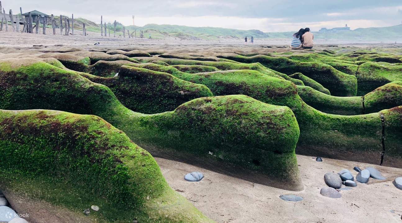 récif vert laomei