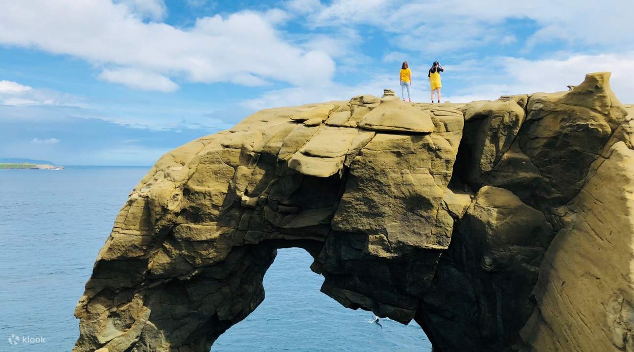 Trompe d'éléphant