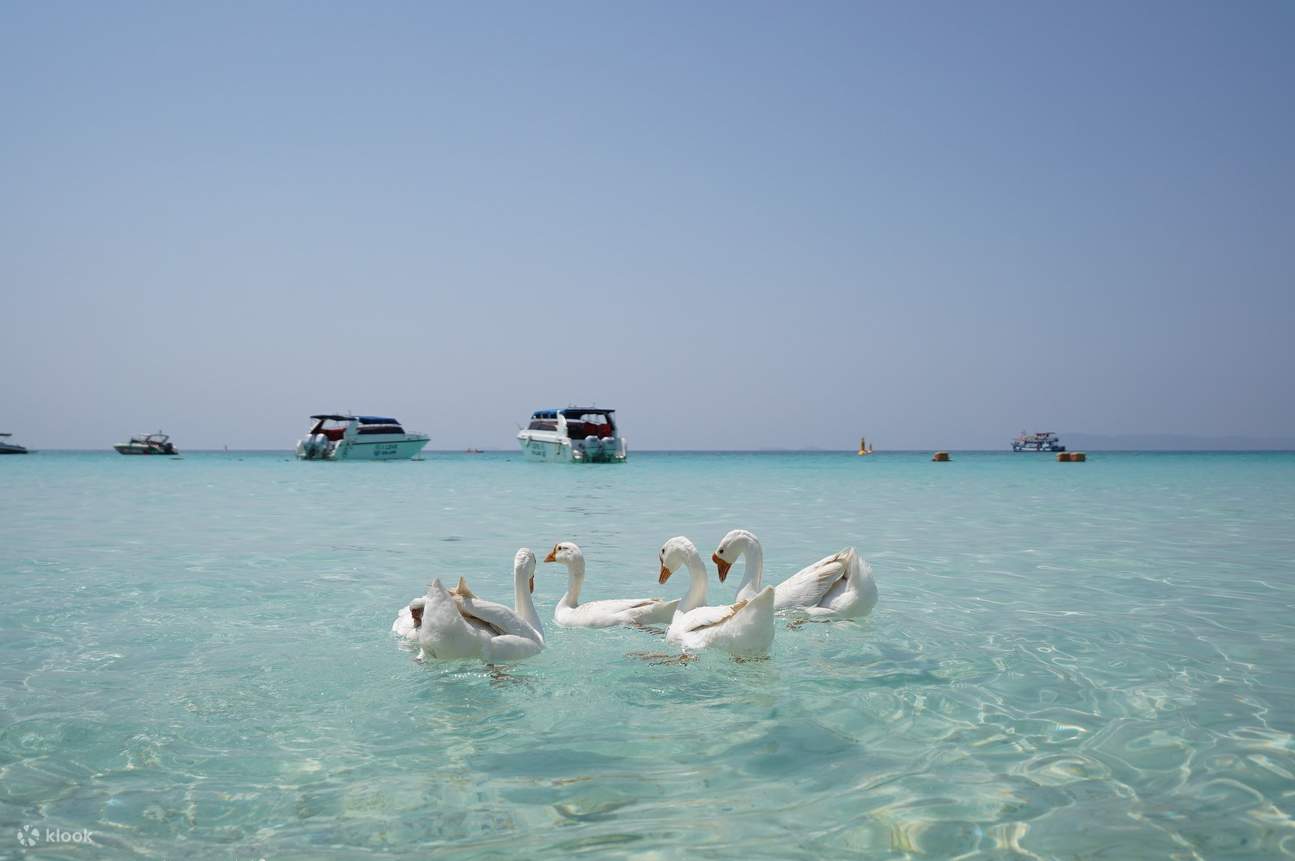 Clear water in the sea