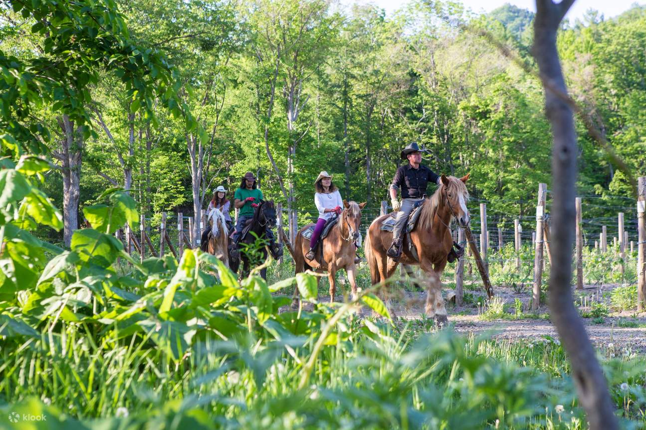 Hokkaido horseback riding experience