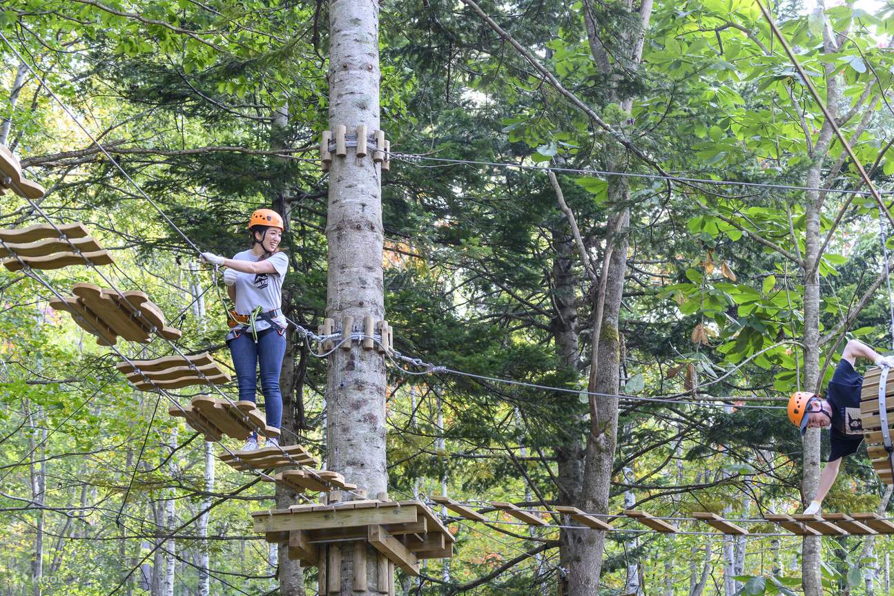 Niseko Ezo Fuji (Mt. Yotei) TreeTrekking & TreeWalk