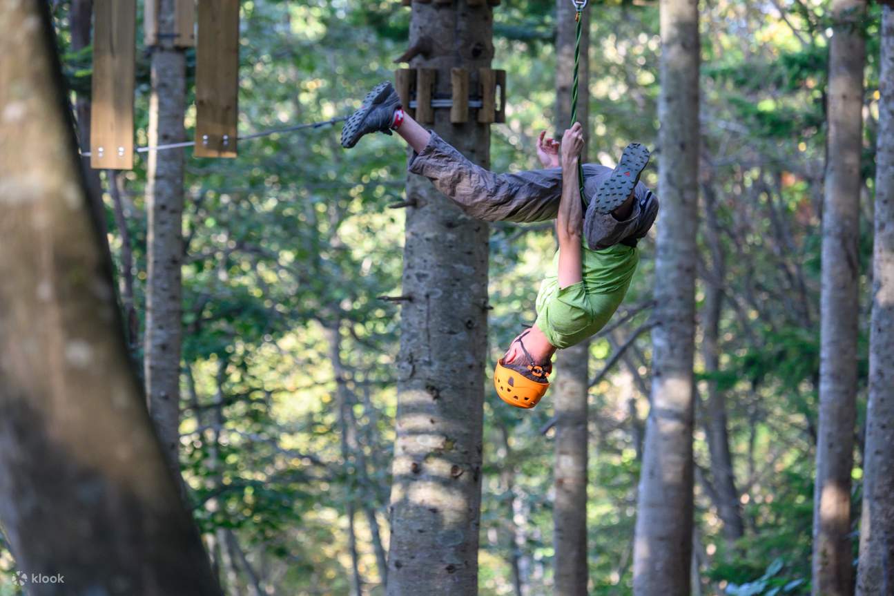 Niseko Ezo Fuji (Mt. Yotei) TreeTrekking & TreeWalk