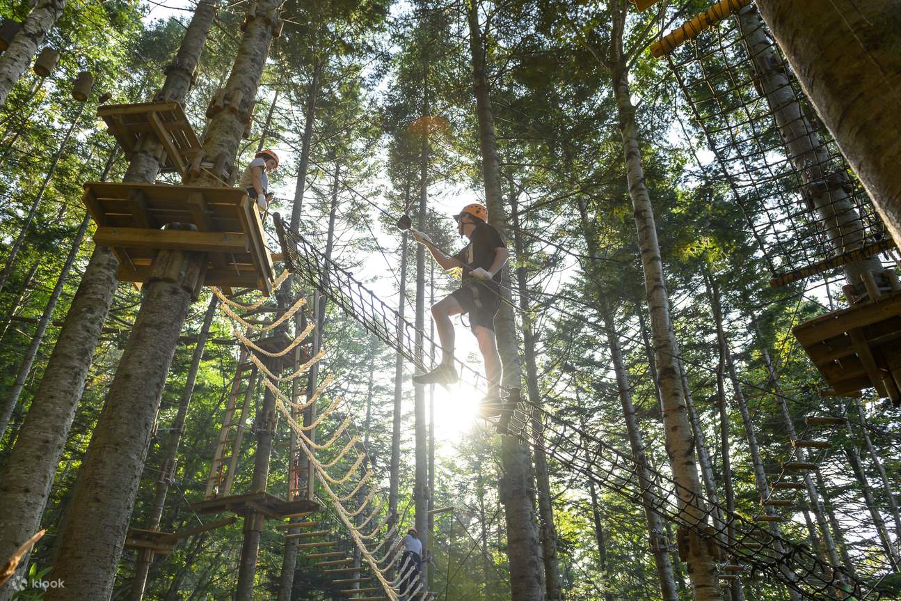 Niseko Ezo Fuji (Mt. Yotei) TreeTrekking & TreeWalk