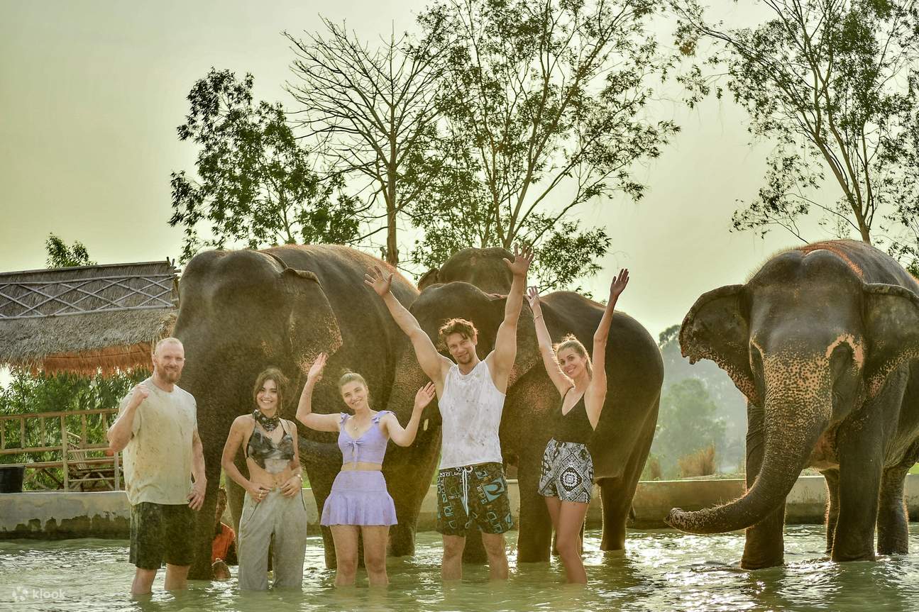 Foto mit Elefant