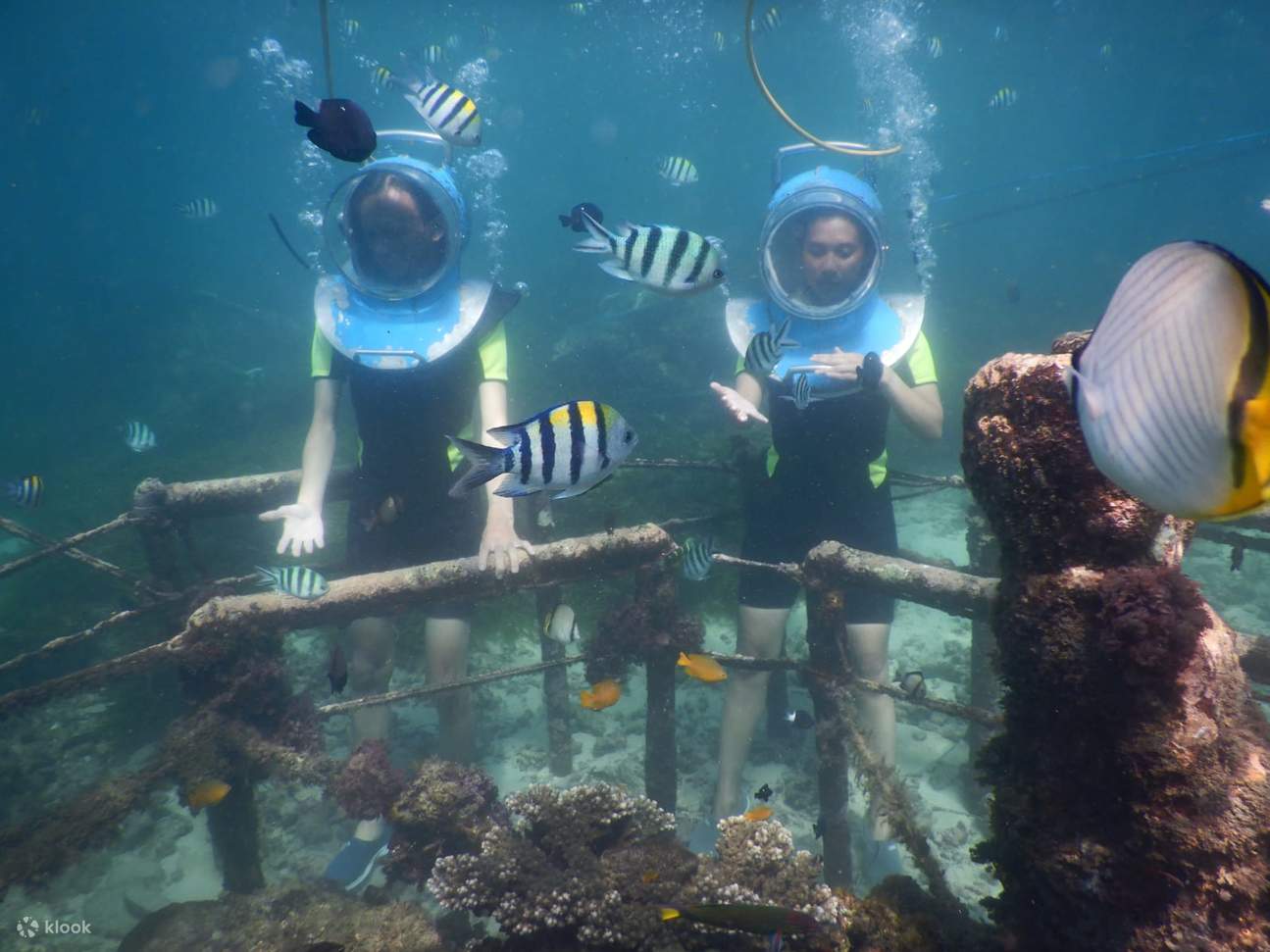 Водные виды спорта Tanjung Benoa на Бали