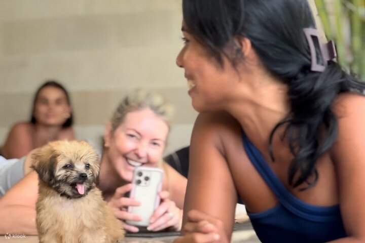 Puppy Yoga Bali