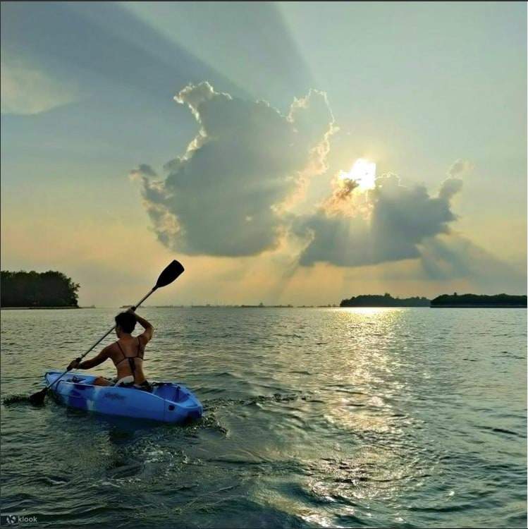 kayak