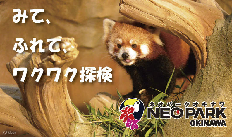 [Neo Park Okinawa ](https://www.neopark.co.jp/)